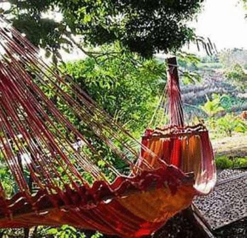 Palmlea Farms Lodge & Bures - Villas Labasa Eksteriør bilde