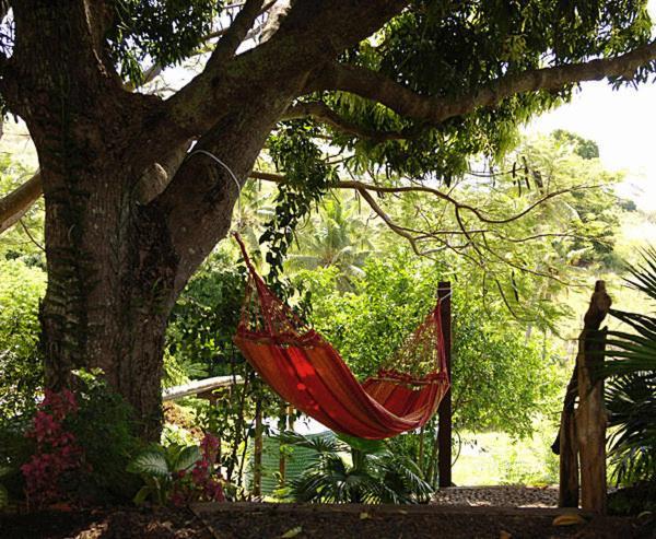 Palmlea Farms Lodge & Bures - Villas Labasa Eksteriør bilde