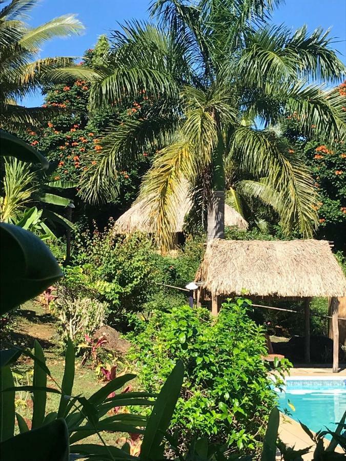 Palmlea Farms Lodge & Bures - Villas Labasa Eksteriør bilde